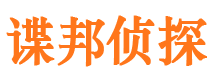 弋江市私家侦探